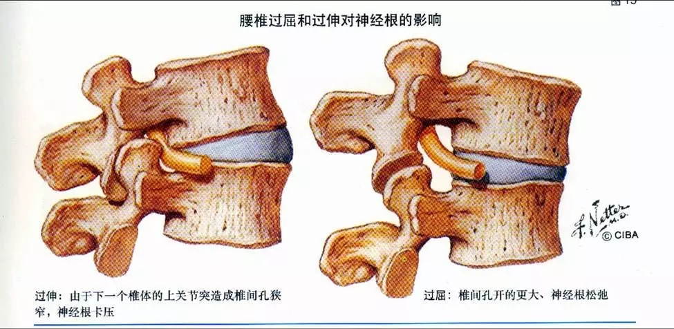 640.webp (15).jpg