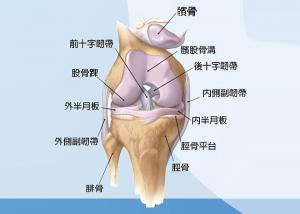 半月板损伤的检查方法.jpg